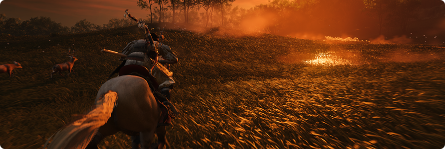 Тёмный круг «Кровь на пепле»