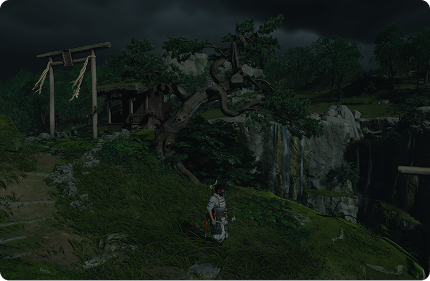 Орден Креста и Пули